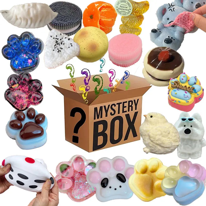 Mystery Box Squishy Toy